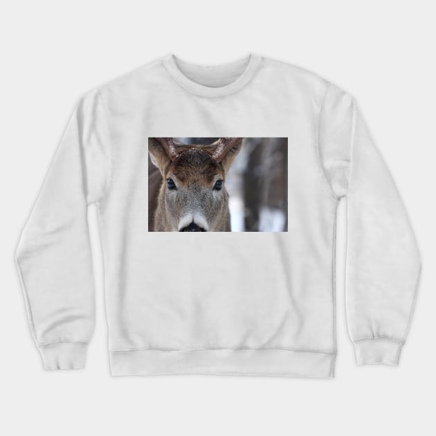 White-tailed Deer Buck up close and personal Crewneck Sweatshirt by Jim Cumming